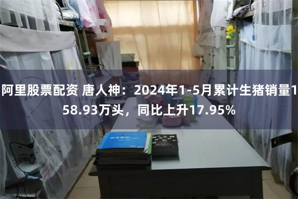 阿里股票配资 唐人神：2024年1-5月累计生猪销量158.93万头，同比上升17.95%