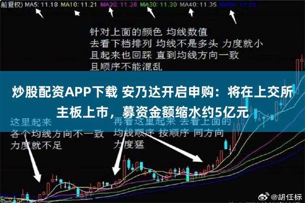 炒股配资APP下载 安乃达开启申购：将在上交所主板上市，募资金额缩水约5亿元