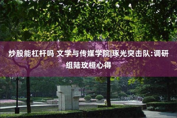 炒股能杠杆吗 文学与传媒学院|琢光突击队:调研组陆玫桓心得