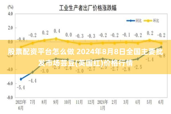 股票配资平台怎么做 2024年8月8日全国主要批发市场芸豆(英国红)价格行情