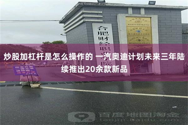 炒股加杠杆是怎么操作的 一汽奥迪计划未来三年陆续推出20余款新品