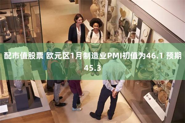 配市值股票 欧元区1月制造业PMI初值为46.1 预期45.3