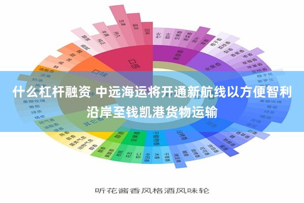 什么杠杆融资 中远海运将开通新航线以方便智利沿岸至钱凯港货物运输